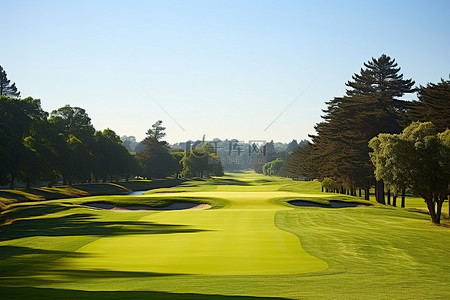 高尔夫球场周围排列着绿色的池塘和树木