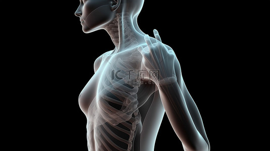 经历肩部不适的女性解剖模型的数字插图