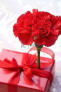 红色康乃馨花与红纸礼物