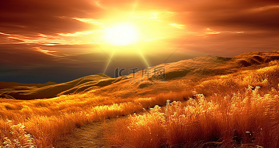 阳光照耀在山丘和草地上
