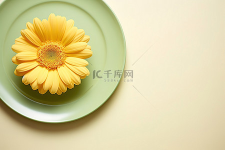 菊花绿色背景图片_绿色盘子上的黄色花