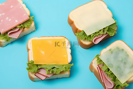 健康的三明治，配有野餐配料