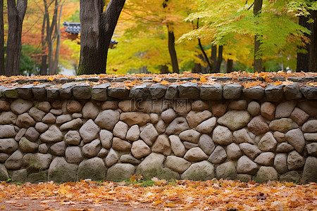 一堵石墙，周围环绕着树叶覆盖的树木