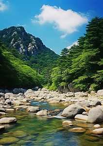 沿着有岩石的森林山脉流淌的河流