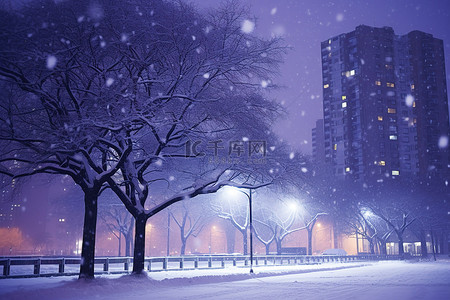 雪夜景背景图片_当雪从摩天大楼落下时，一棵树和路灯