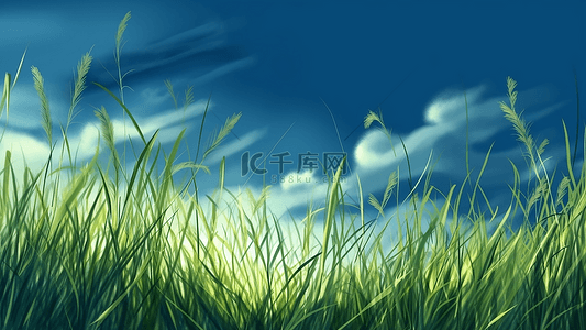 草地自然风景插画