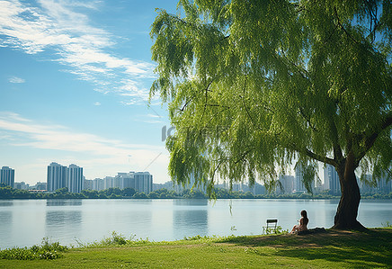 下河摸鱼背景图片_一个女人坐在湖边公园的一棵树下
