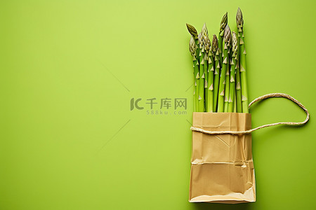 绳子背景图片_纸袋中的芦笋，亮绿色背景，有两根绳子