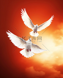 白鸽飞翔背景图片_橙色背景的白鸽在天空中飞翔