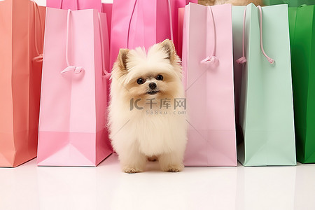 动物看背景图片_一只小狗看着几个彩色购物袋