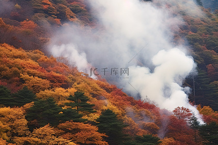 小鸡破壳而出背景图片_烟雾从覆盖着秋叶的山顶墙壁上倾泻而出