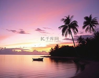 棕榈树背景图片_汤加岛