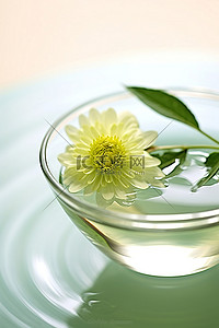 茶叶水背景图片_一小碗水，里面有一朵花