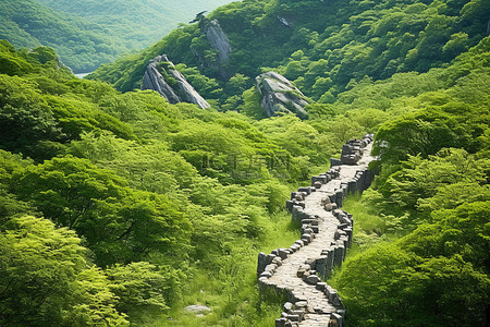 大公无私背景图片_绿树环绕的大公园里的一条石路