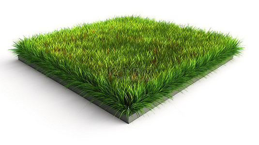 体育馆运动场背景图片_运动场 3D 渲染郁郁葱葱的绿草地，白色背景上有剪切路径