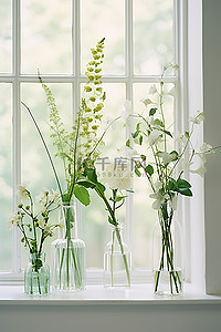 窗前摆放着透明的鲜花花瓶
