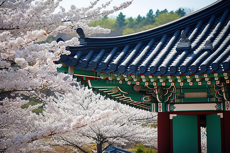 春天旅行背景图片_具有韩式屋顶的传统建筑