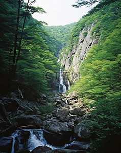 瀑布岩石背景图片_瀑布流经小径岩石中间的森林