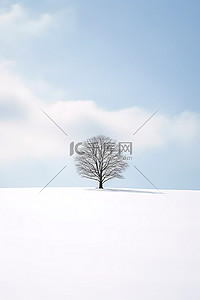 雪地里的人背景图片_雪地里的一棵树，作者：evgeniy rybolovsky Stocky United