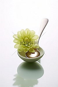 一把花背景图片_一把勺子，上面坐着一朵花