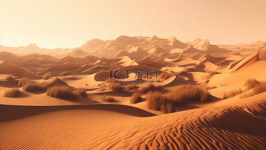 荒芜的原野背景图片_热带干旱地区沙漠荒漠
