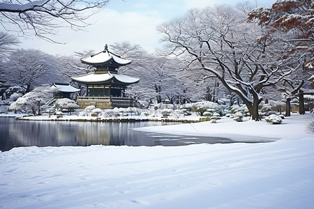 公园在雪中 瑞典馆公园 首尔南部 冬天在公园首尔南部散步