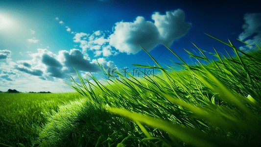 绿色草地环保背景图片_草地自然风光背景