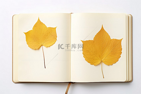 秋天落叶枫叶背景图片_笔记本内的三片黄色叶子