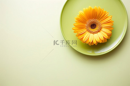 一朵黄色的花放在绿色的盘子里