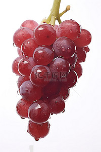 红葡萄背景图片_关闭成熟的红葡萄