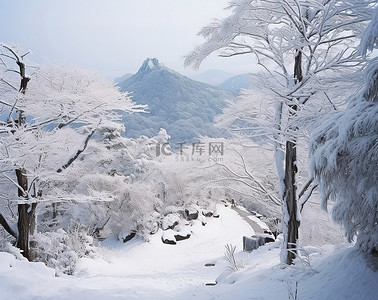 雪覆盖的山景，树木和雪