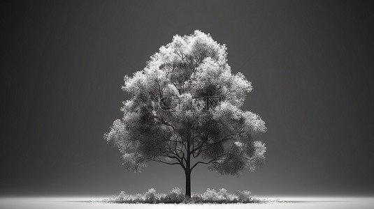 桃树背景背景图片_单色 3D 渲染一棵雄伟的树，叶子在坚实的背景下