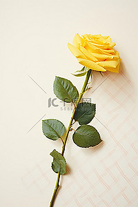 浅色泼墨古风背景图片_浅色背景上的小黄玫瑰