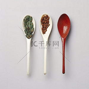 两个勺子上有各种不同的混合根和草药