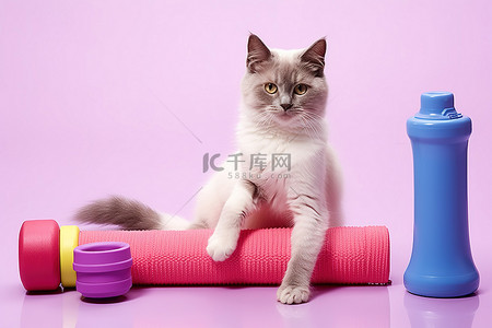 一只猫坐在瑜伽垫上，带着健身瓶和哑铃