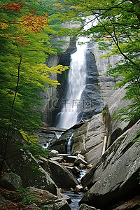枫叶中背景图片_瀑布位于岩石缝隙中，周围有树木