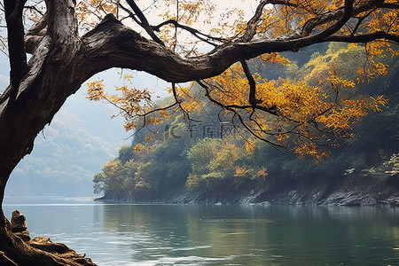 伸出的左手背景图片_秋天从河里伸出的树枝