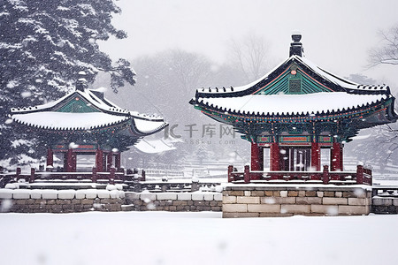 冬季暴风雨期间，一群韩国宝塔被雪覆盖