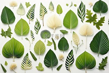绿色植物白叶和蘑菇套装与绿树