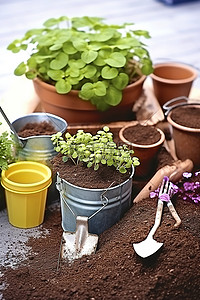 花千坊园艺背景图片_可种植容器附近的各种工具和园艺用品