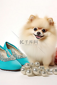珠宝背景图片_博美犬和鞋子靠近一些耳环和其他珠宝