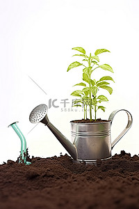 喷壶背景图片_白色背景前植物旁边泥土中的喷壶