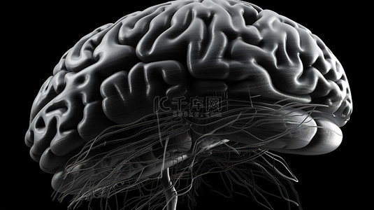 水球图背景图片_3d 数字插图中的大脑解剖学