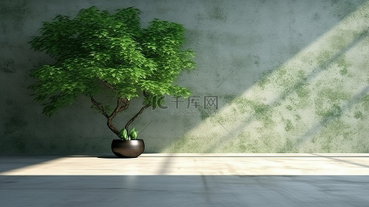 广阔的开放区域可供产品展示，郁郁葱葱的草坪和树影以 3D 渲染的形式反映在墙上