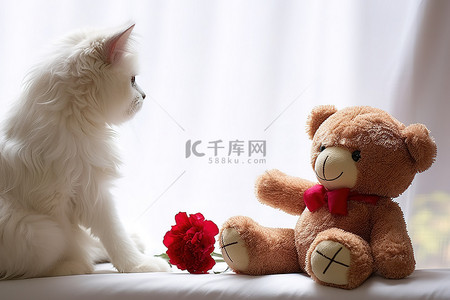 一只猫看着一只拿着鲜花的泰迪熊