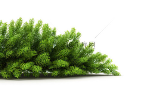 3d 插图 cg 渲染白色背景隔离绿松圣诞树横幅设计