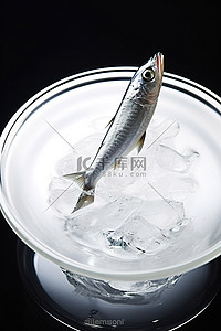 鱼坐在盘子里的冰里