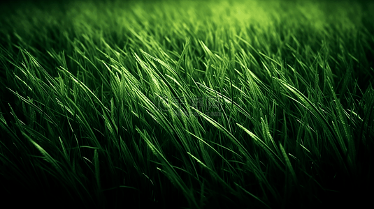 绿色草地背景图片_草坪漂亮背景
