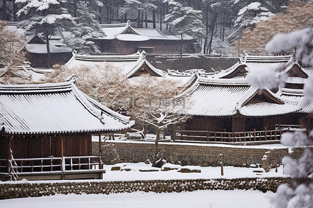 济州城南白雪皑皑的传统村庄