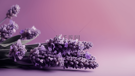 紫色水彩花朵背景图片_薰衣草背景热销海报背景